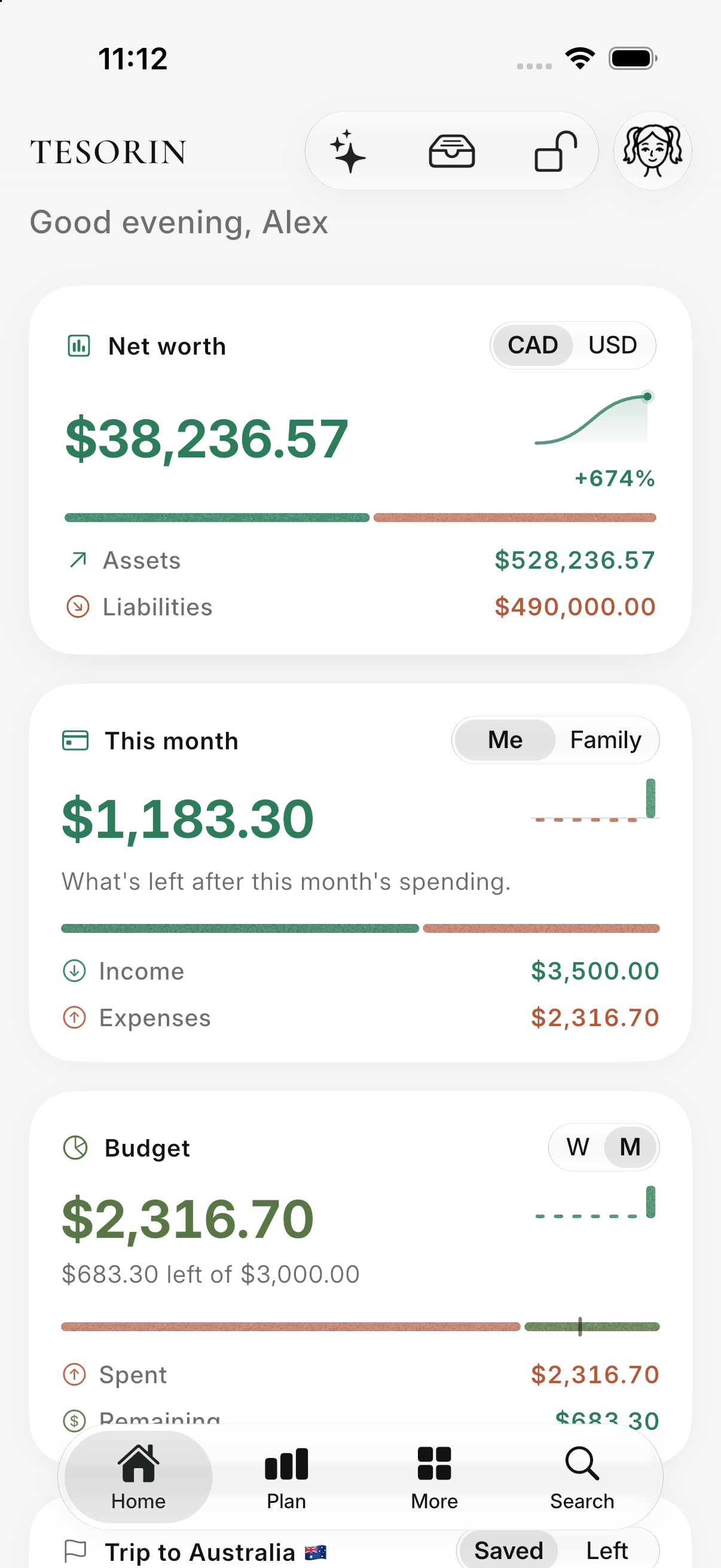 TESORIN home dashboard with net worth, monthly cashflow, and budget
